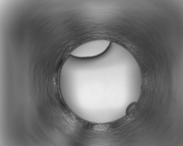 X0000059820373200510211002