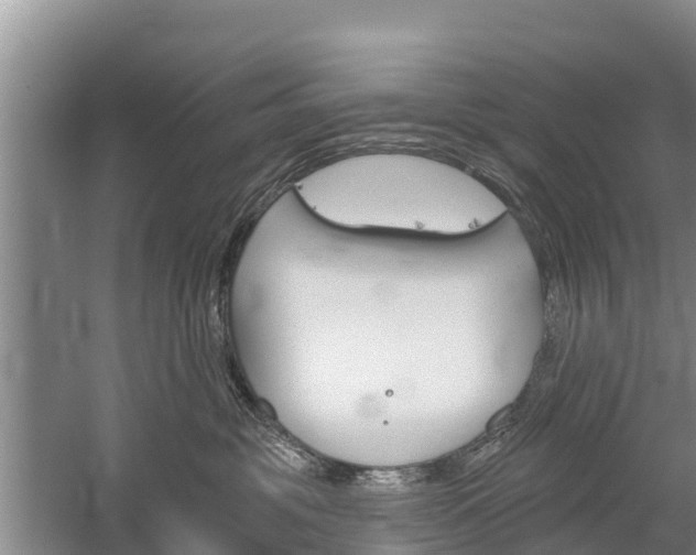 X0000059820381200510211002