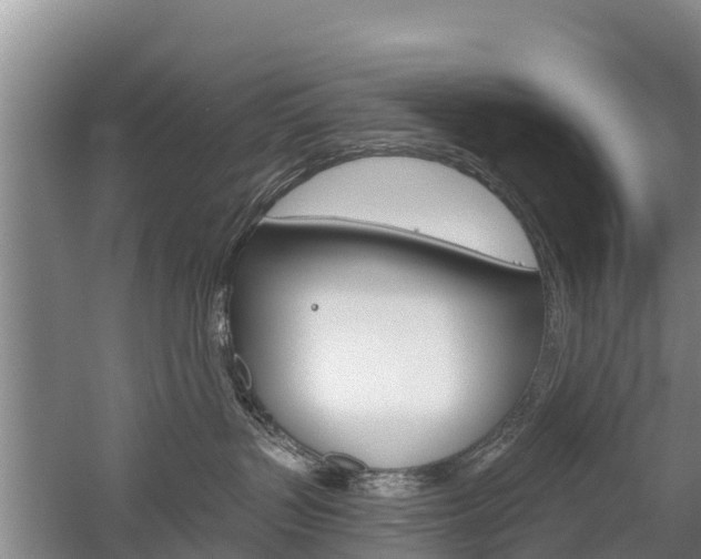 X0000059820383200510211002