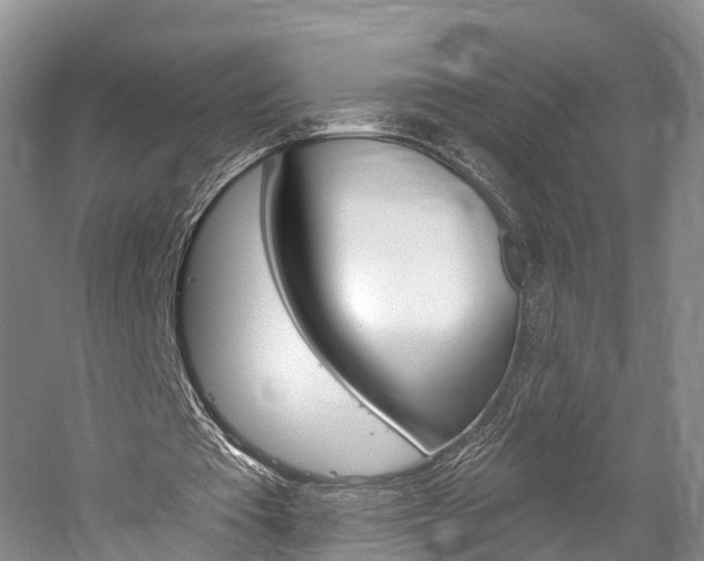 X0000059820385200510211001