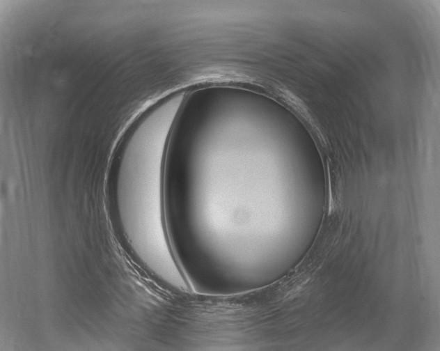 X0000059820387200510211001