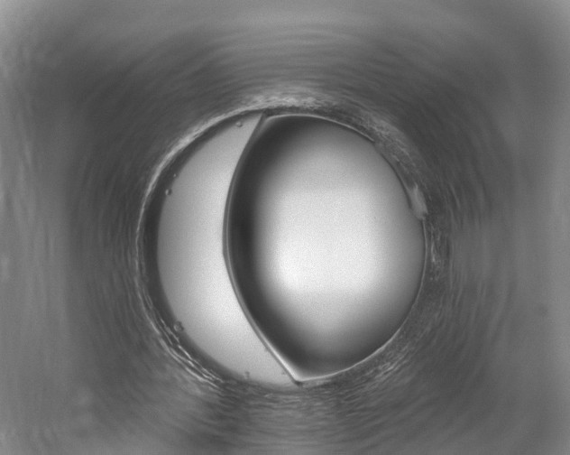 X0000059820388200510211001