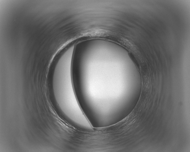 X0000059820392200510211001