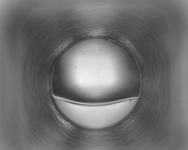 X0000059820393200510211001