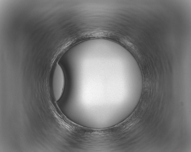 X0000059820394200510211001