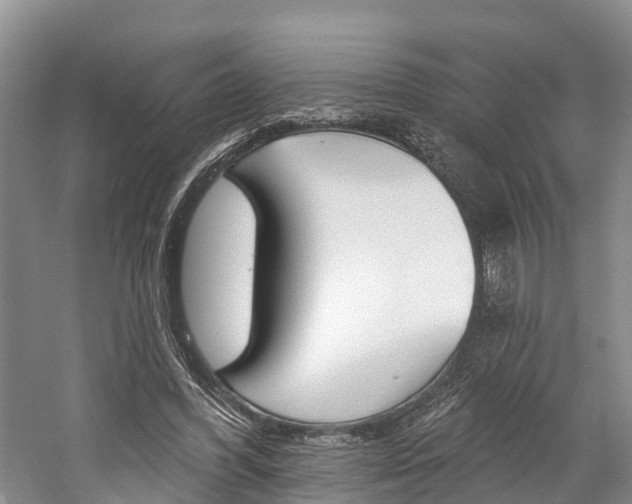 X0000059820396200510211001