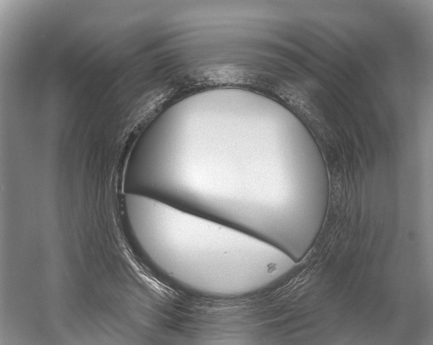 X0000059820398200510211001