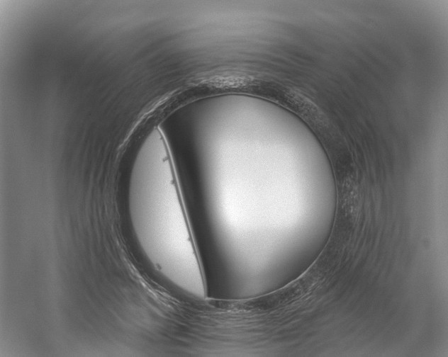 X0000059820400200510211001