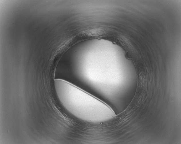 X0000059820404200510211001