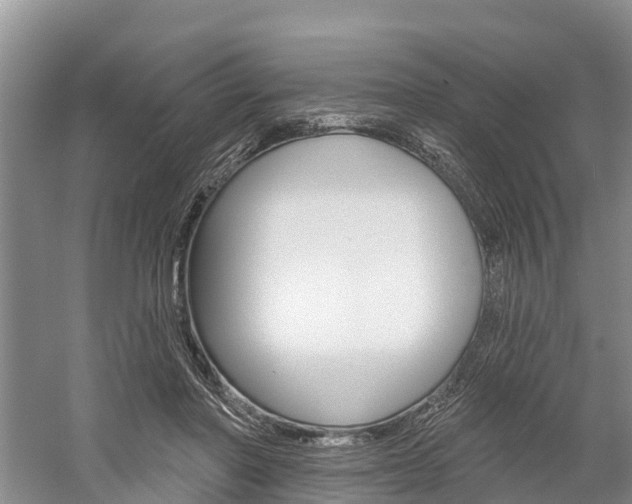 X0000059820406200510211001