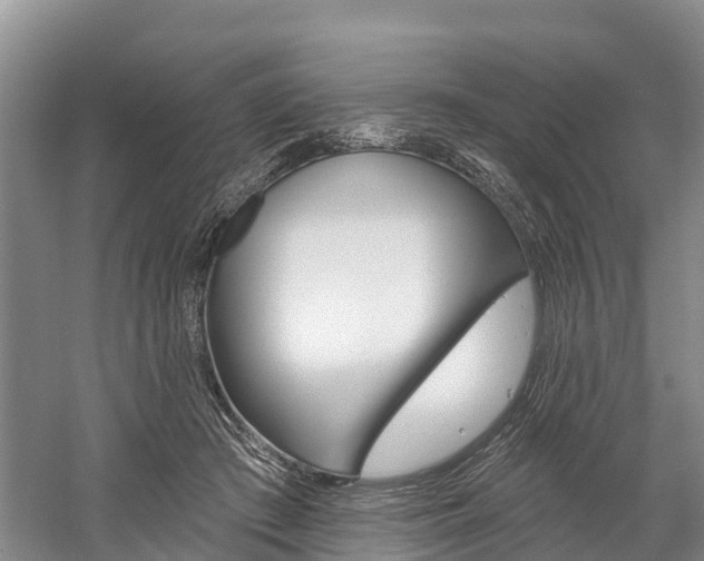 X0000059820409200510211001