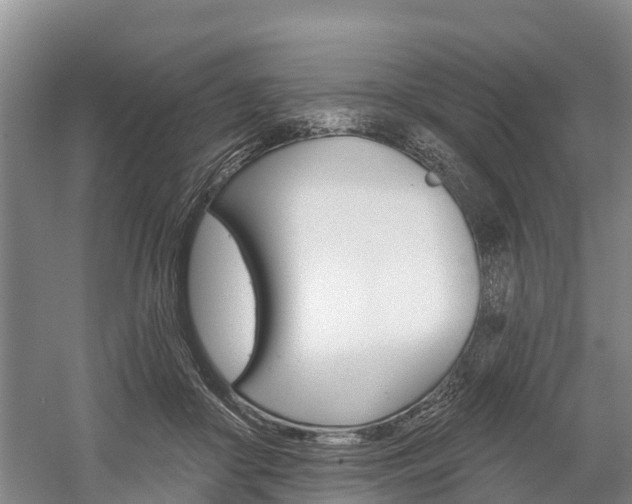 X0000059820410200510211000