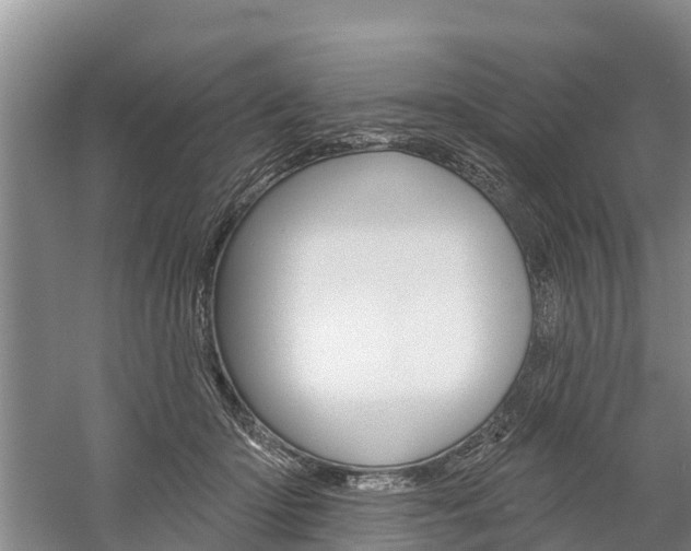 X0000059820414200510211000