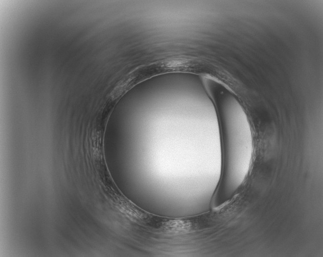 X0000059820421200510211000