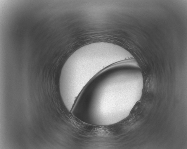 X0000059820424200510211000