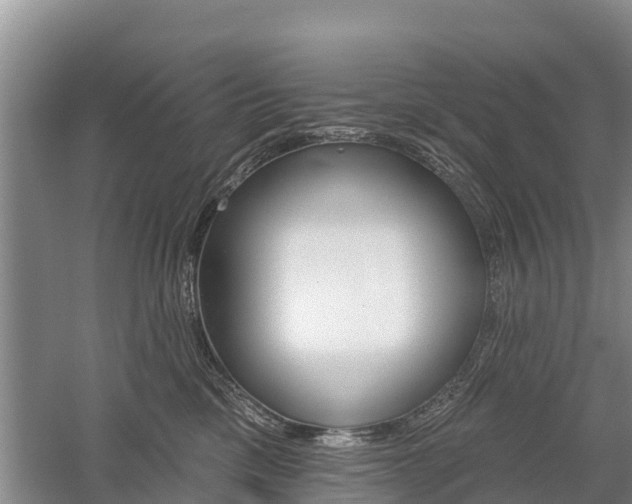 X0000059820425200510211000