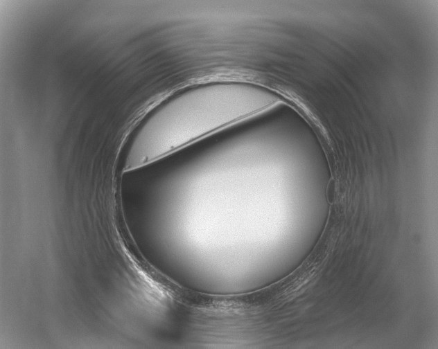 X0000059820437200510210959