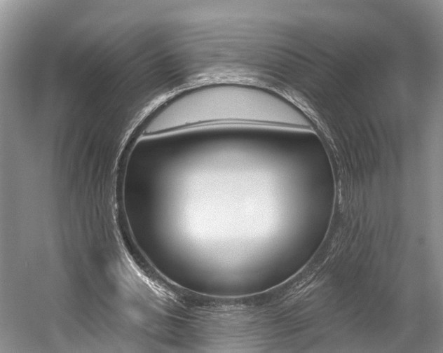 X0000059820438200510210959