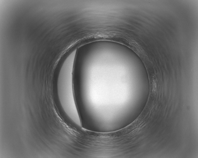 X0000059820444200510210959