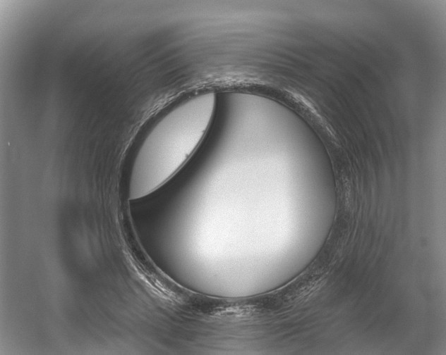 X0000059820447200510211000