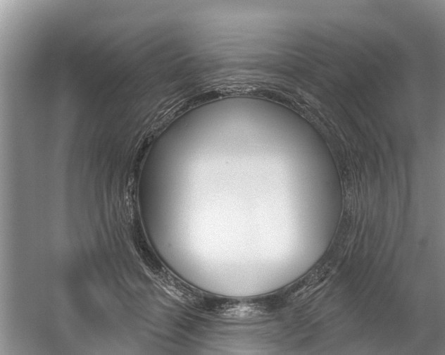 X0000059820460200510211000