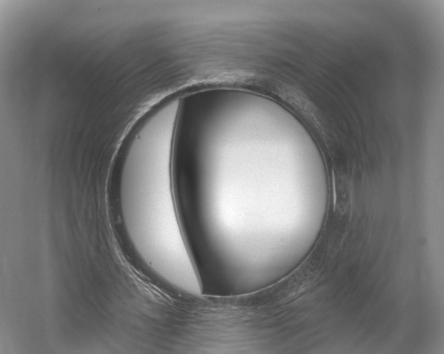 X0000059820483200510210959