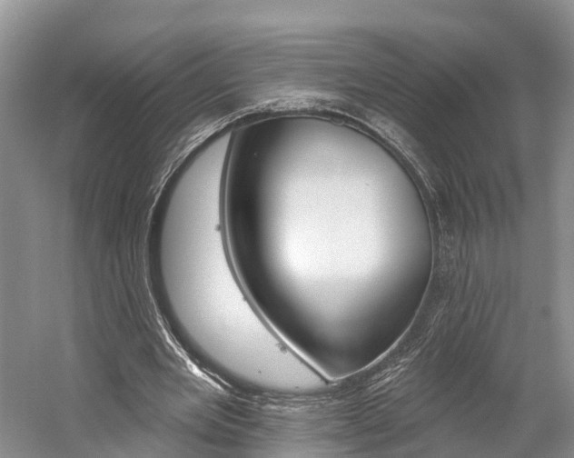 X0000059820485200510210959