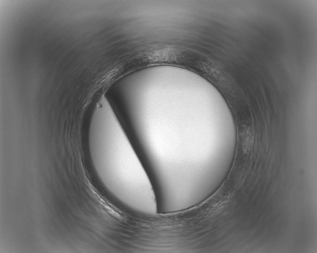 X0000059820490200510210959