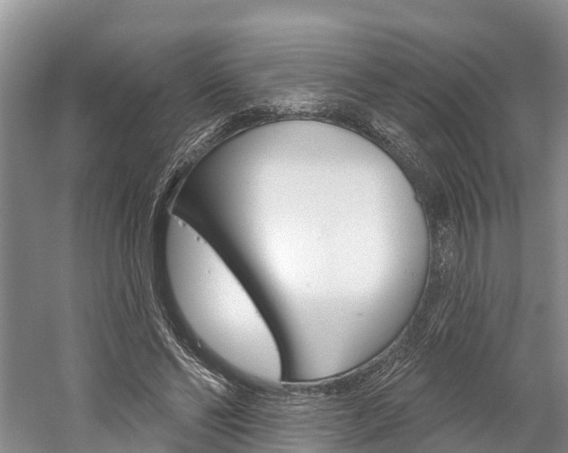 X0000059820494200510210959