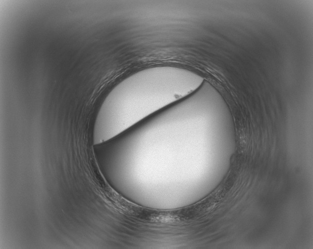 X0000059820503200510210959