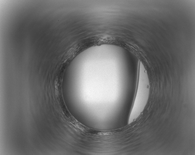 X0000059820520200510210959