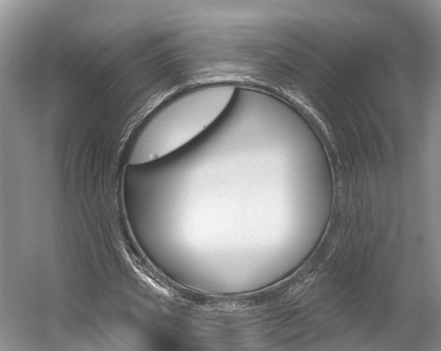 X0000059820533200510210958