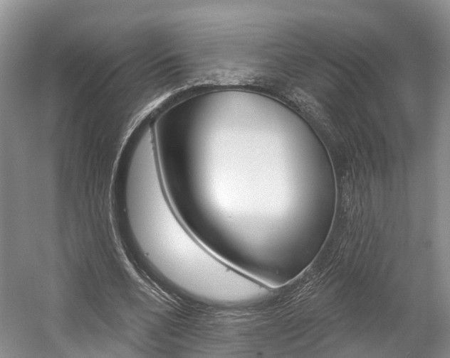 X0000059820536200510210958