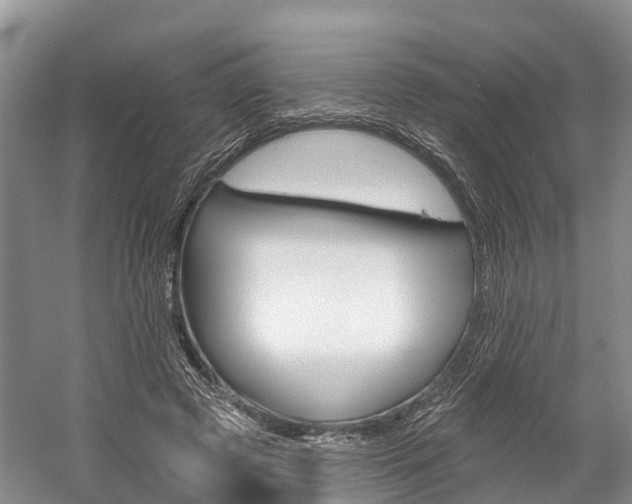 X0000059820545200510210958