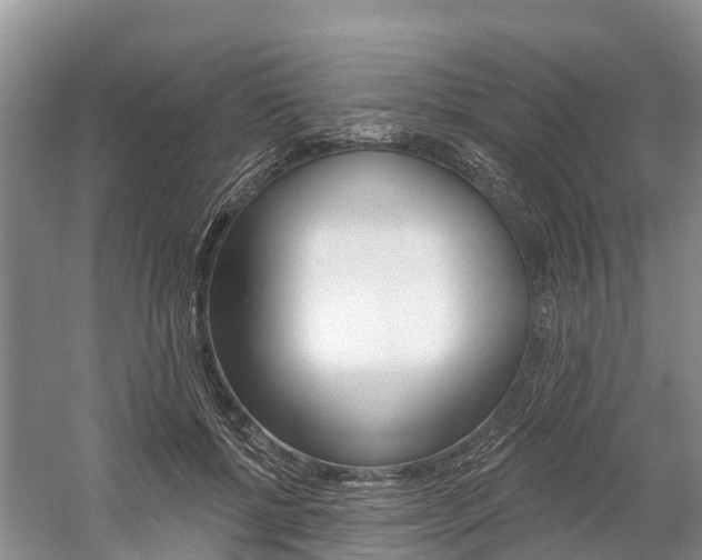 X0000059820552200510210958