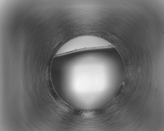 X0000059820560200510210958