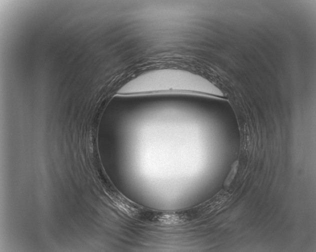 X0000059820562200510210958
