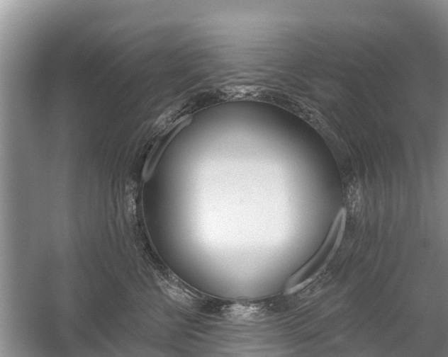 X0000059820570200510210958