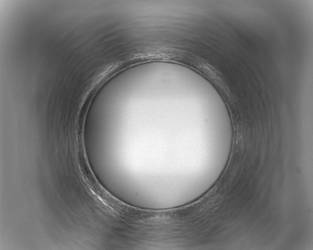 X0000059820578200510210958