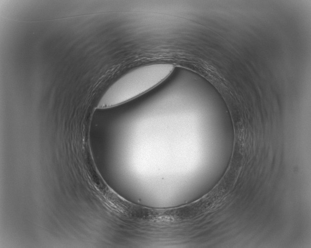X0000059820593200510210957