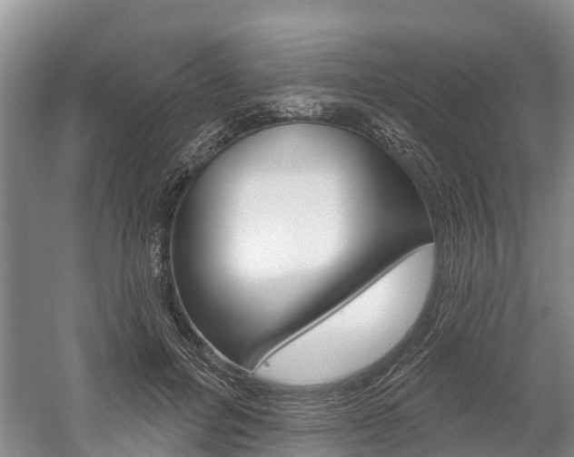 X0000059820600200510210957