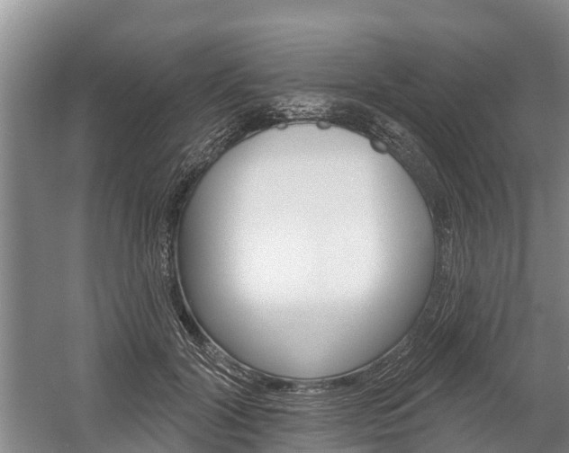 X0000059820604200510210957