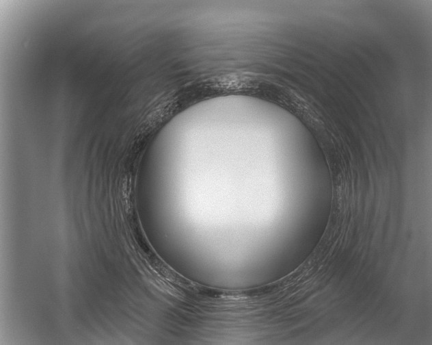 X0000059820605200510210957