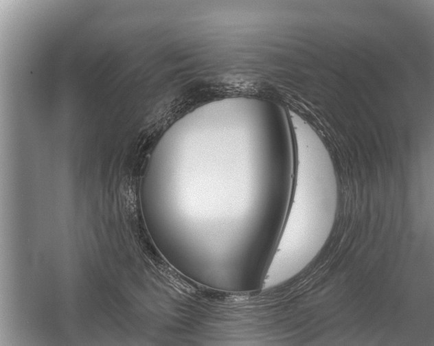 X0000059820613200510210957