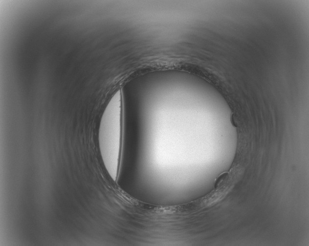 X0000059820624200510210957