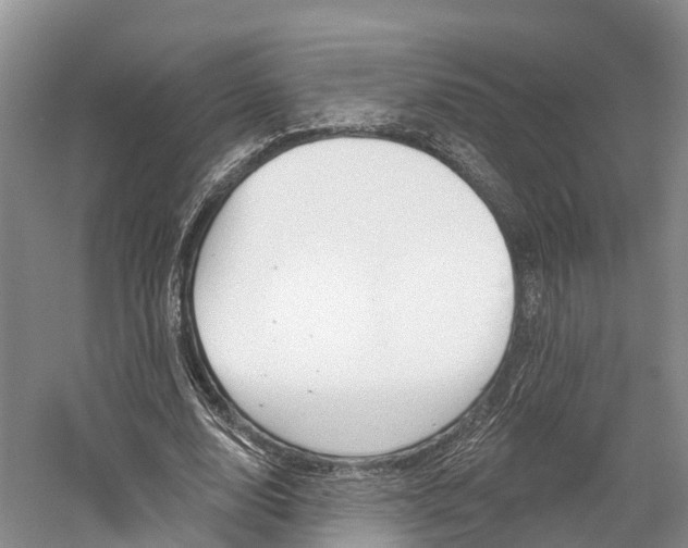 X0000059820632200510210956