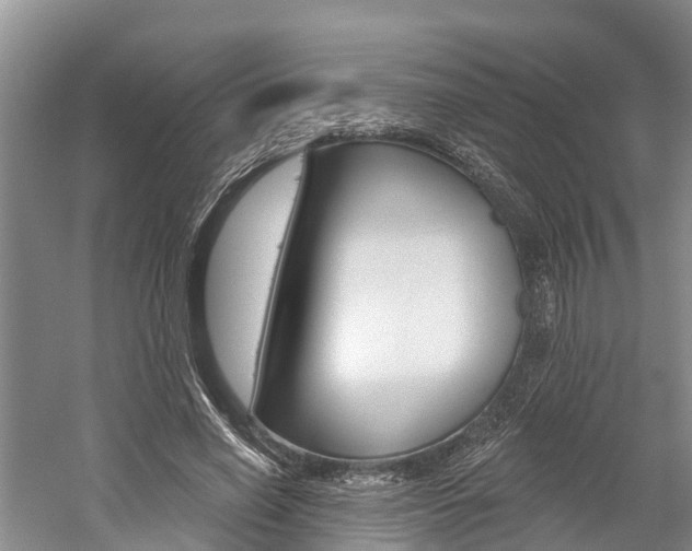 X0000059820638200510210956