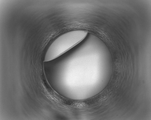 X0000059820642200510210956