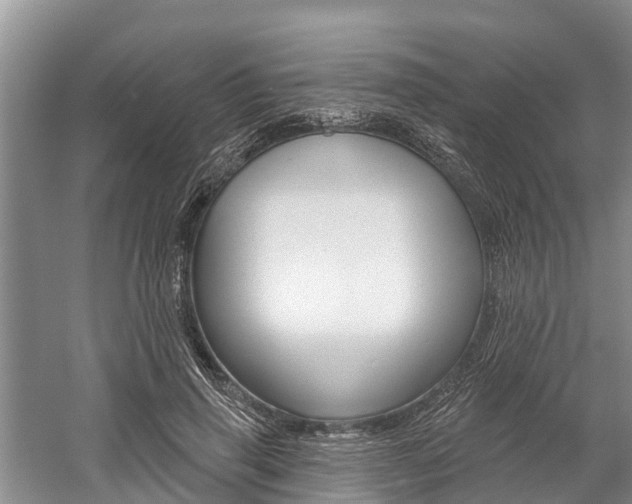 X0000059820645200510210956