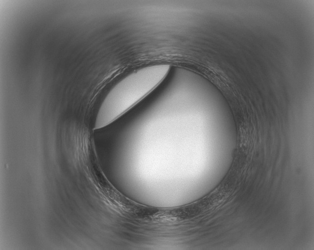 X0000059820648200510210956
